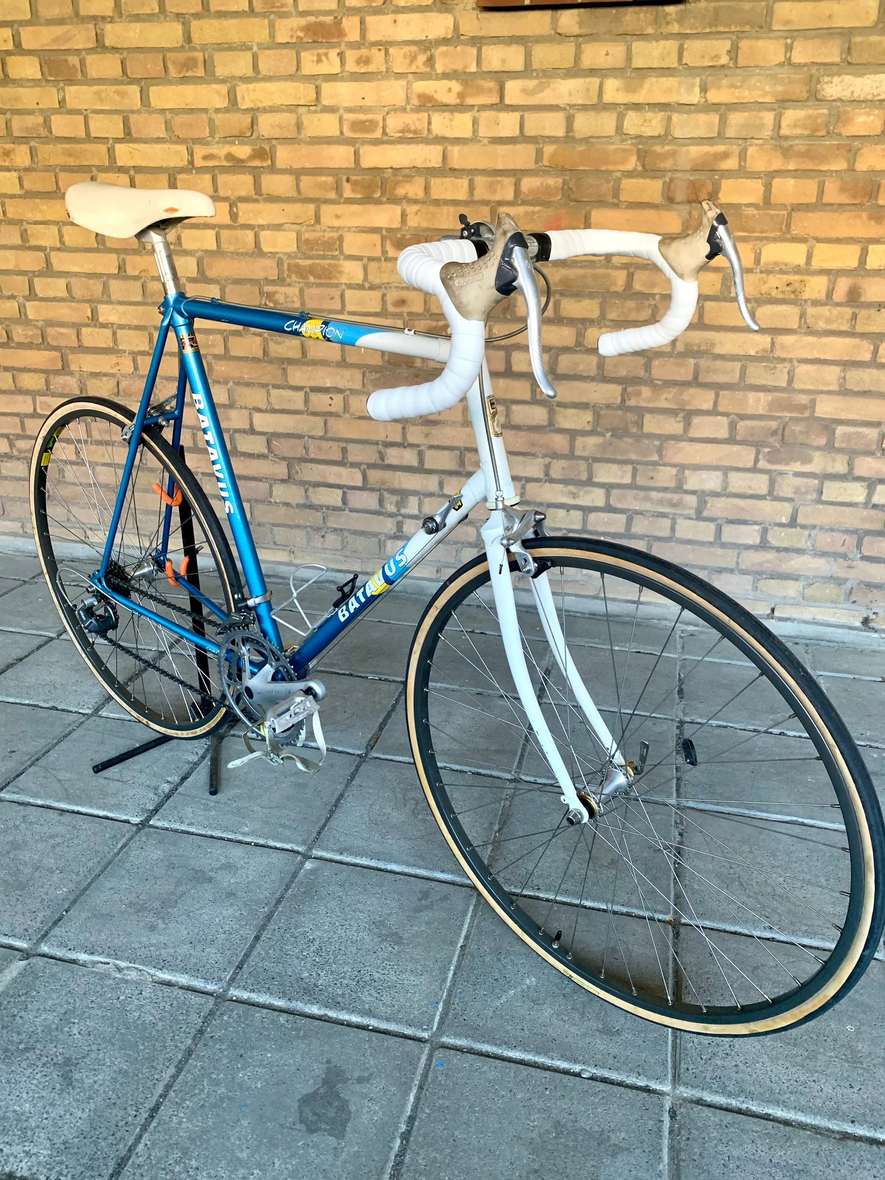 Batavus Champion Shimano Exage 63cm