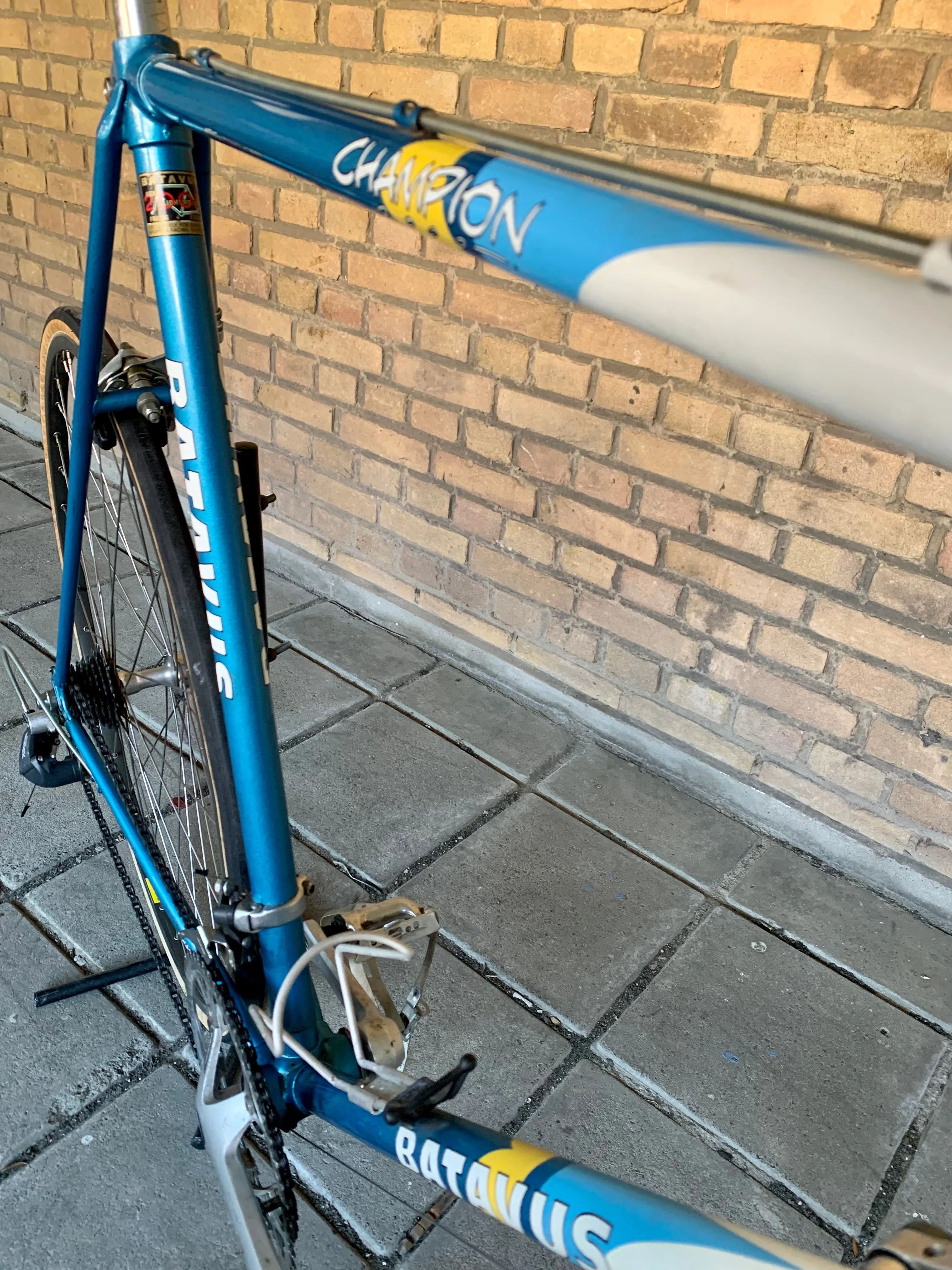 Batavus Champion Shimano Exage 63cm