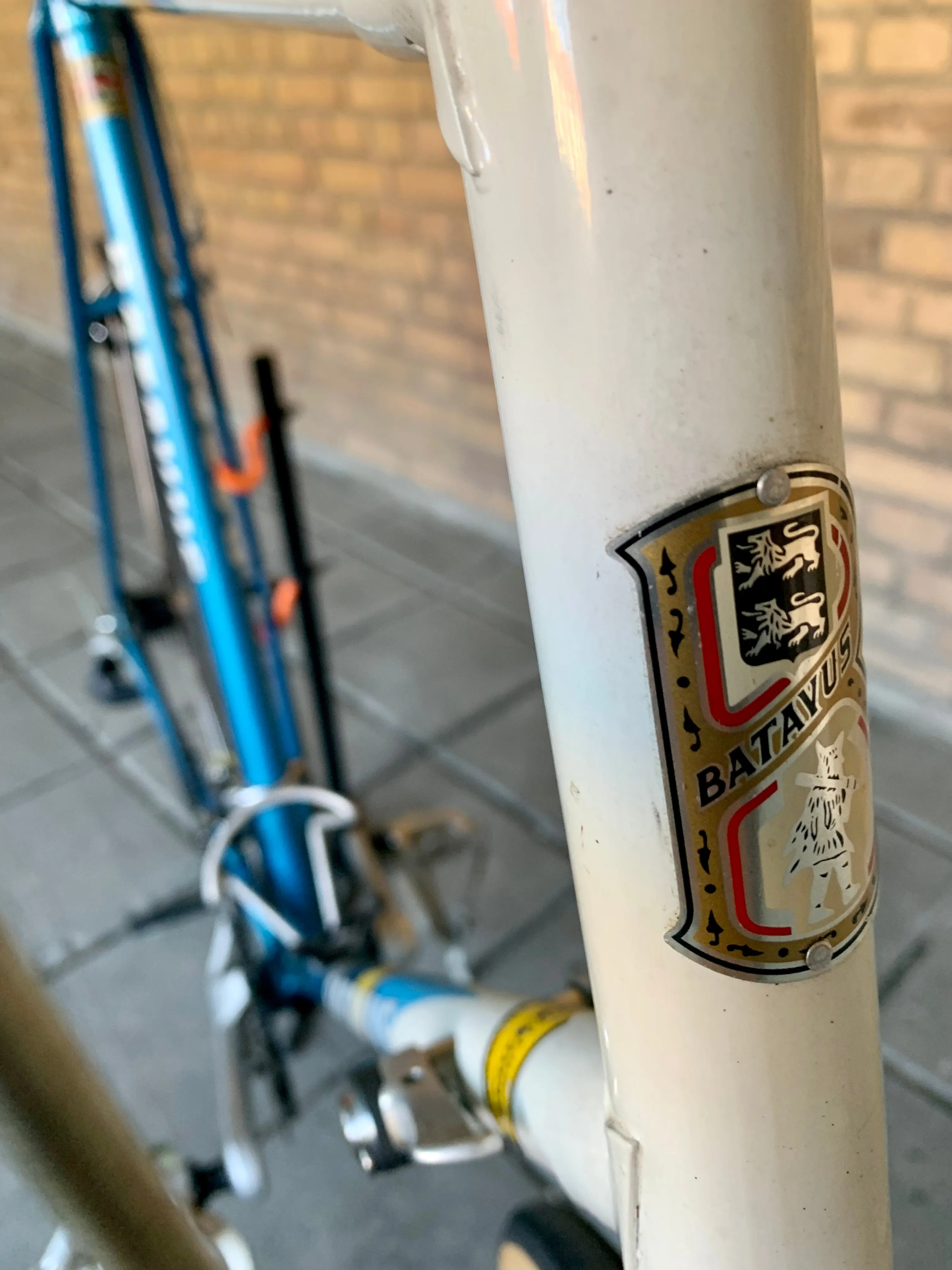 Batavus Champion Shimano Exage 63cm