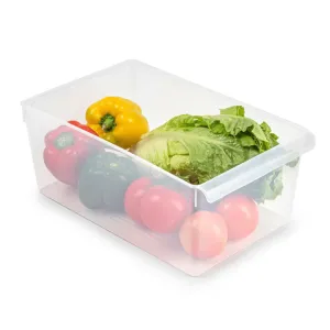 Clear Fridge Organiser Storage Box - 23 x 37 x 15cm