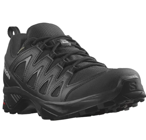 Salomon Mens X Braze GTX