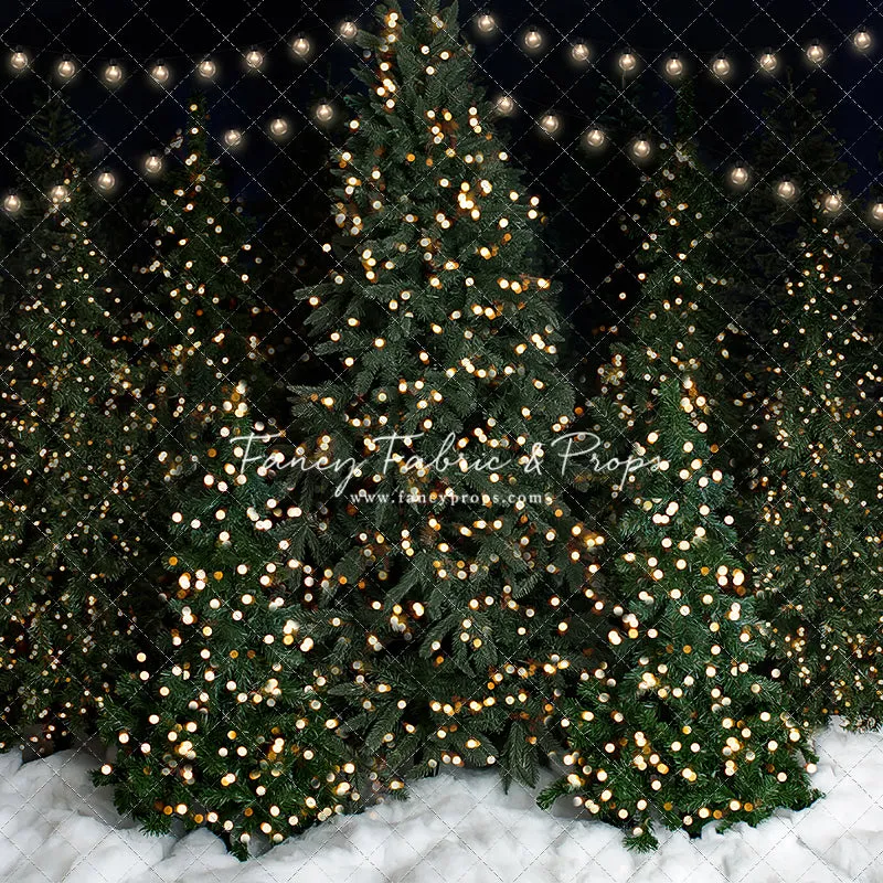 Snowy Evening At The Tree Farm