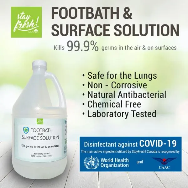 Stayfresh Canada Natural Antibacterial Floor Solution