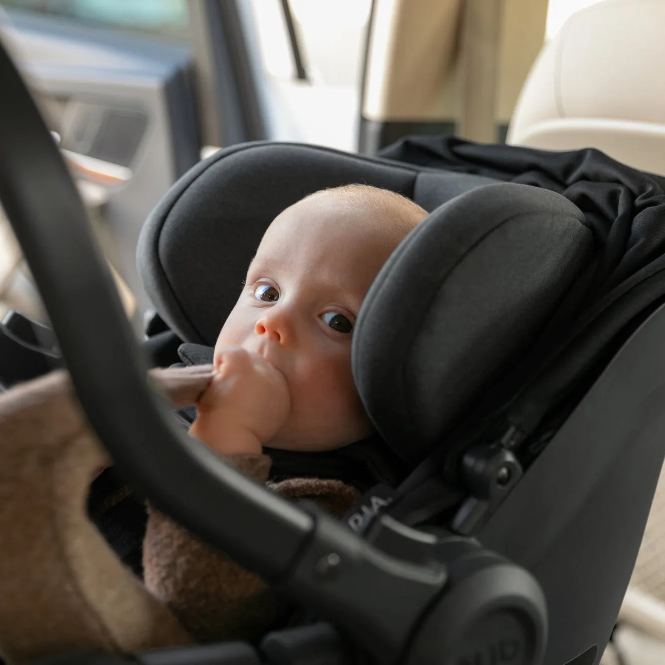 UPPAbaby Aria Lightweight Infant Car Seat